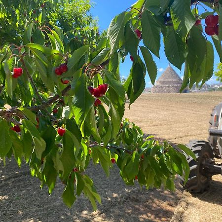 Apartament Trullo Incanto Ostuni Zewnętrze zdjęcie